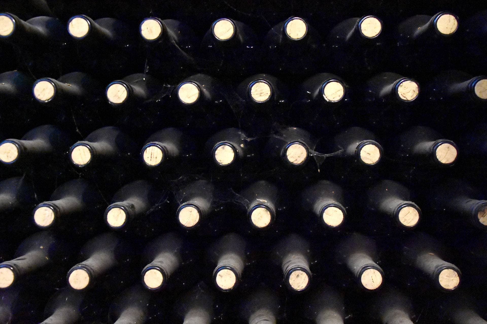 Wine Bottles
