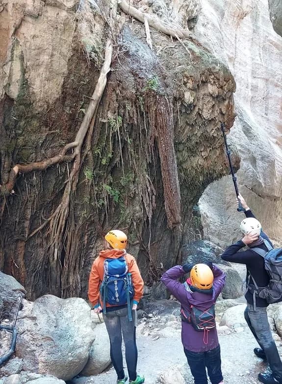Hiking & Gorge Walking Adventure(Paphos)