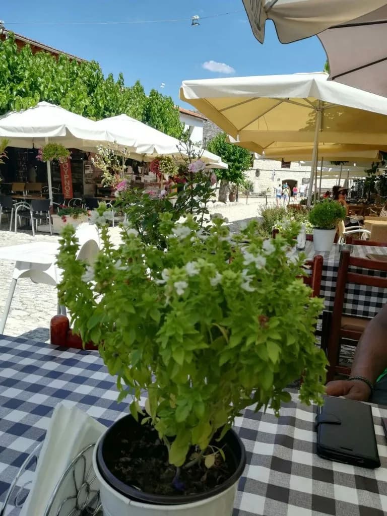 Jeep Troodos Tour (Paphos)
