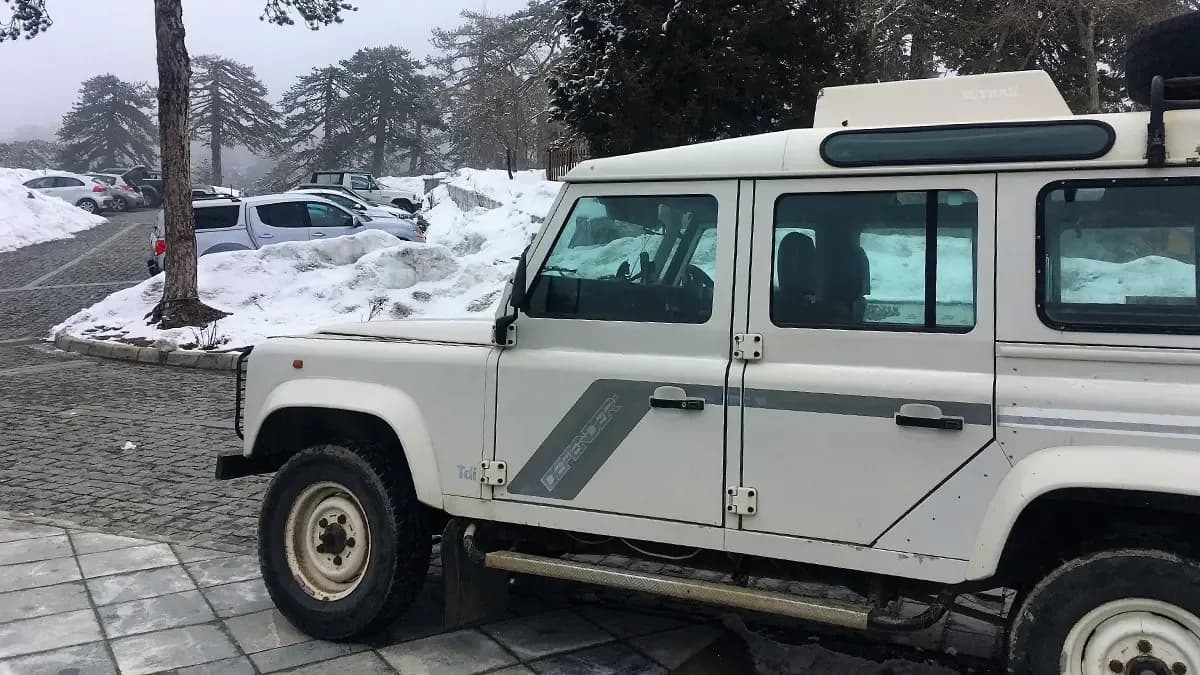 Winter Paradise Safari